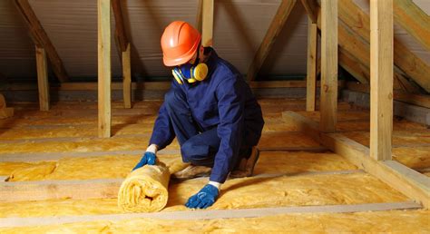 pinsylooted|INSULATE Definition & Meaning .